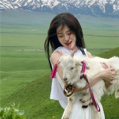 掟上今日子的备忘录